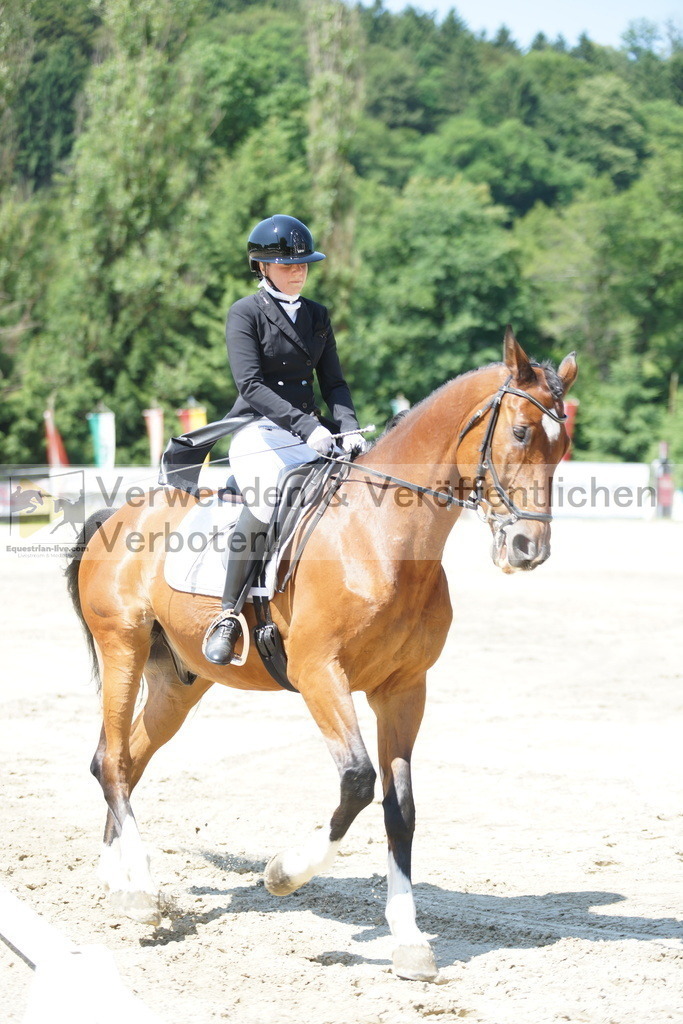 DSC03222 | equestrian-live-com