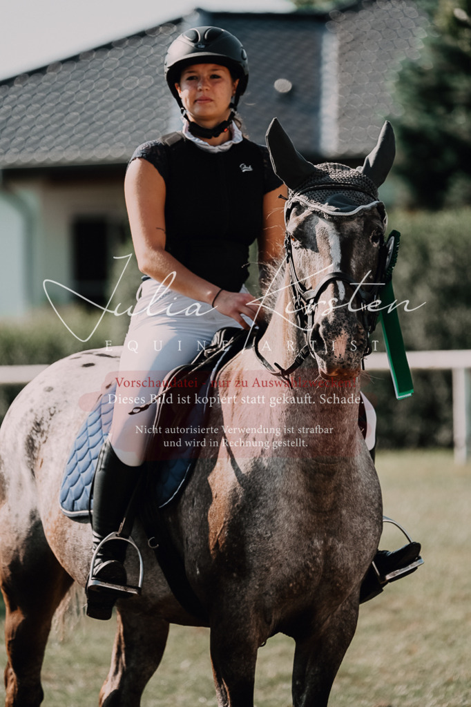 DSC_4934 | Pferde- und Turnierfotografie in Westsachsen. Pferdeportraits, Auftragszeichnungen und intuitive Kunst.