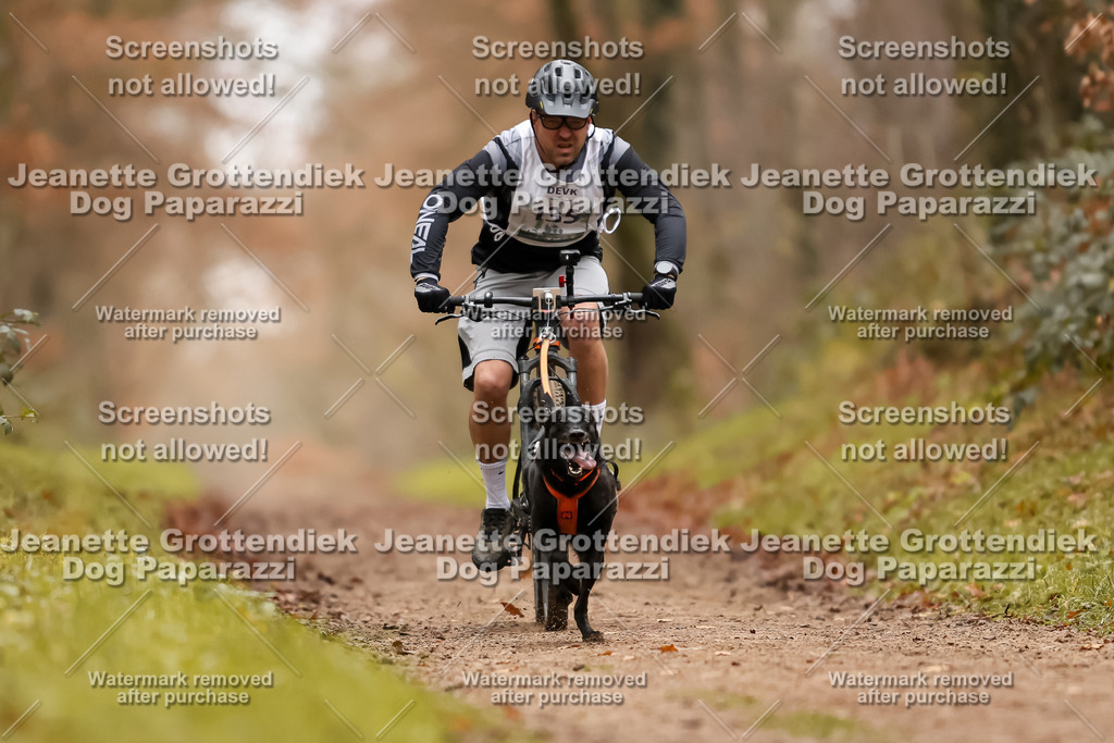 Dog Paparazzi - Speedhunter Mannheim  2025-378 | Dog Paparazzi Jeanette Grottendiek Fotografie & Videografie