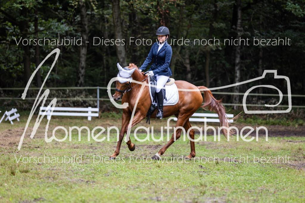 HB-Dressur-WB-073 | MomenTaufnahmen Pferdesportfotos