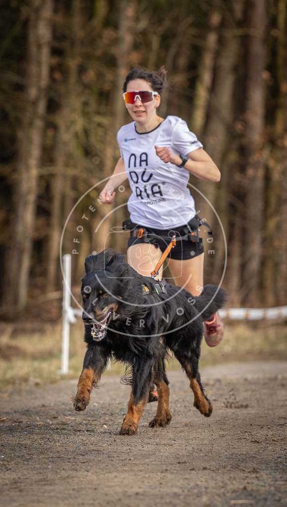DV3A3628 | Hundefotografie, Tierfotograf, Pfotenfotografie, Fotoshooting Hund, Hunde Portrait, Hundesport, Hundeportraits, Heideshooting, Hunde, Sportfotograf, Hundefotograf, Turnierhundsport, THS,  - Realisiert mit Pictrs.com