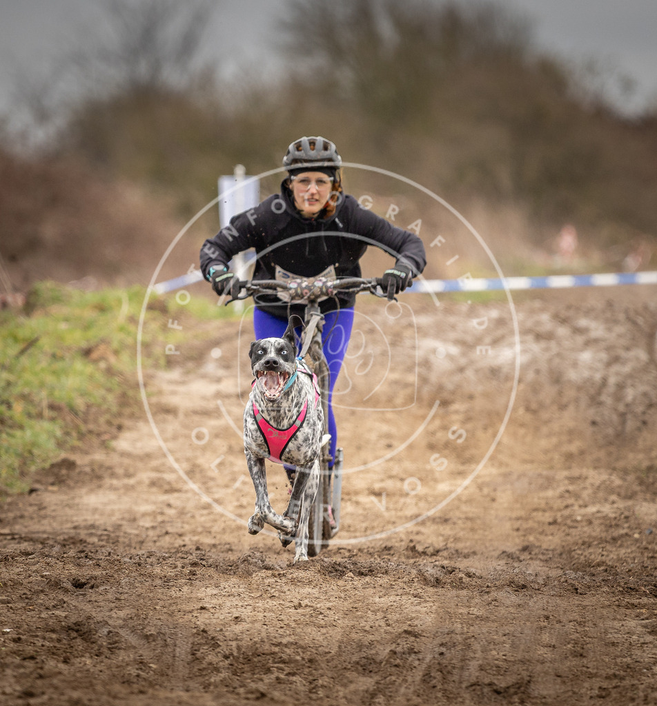 DV3A1277 | Hundefotografie, Tierfotograf, Pfotenfotografie, Fotoshooting Hund, Hunde Portrait, Hundesport, Hundeportraits, Heideshooting, Hunde, Sportfotograf, Hundefotograf, Turnierhundsport, THS,  - Realisiert mit Pictrs.com