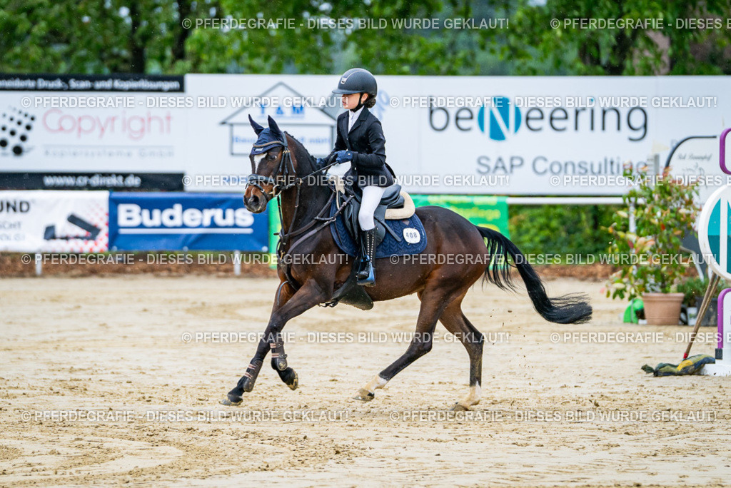 DSC01308 | Pferdegrafie