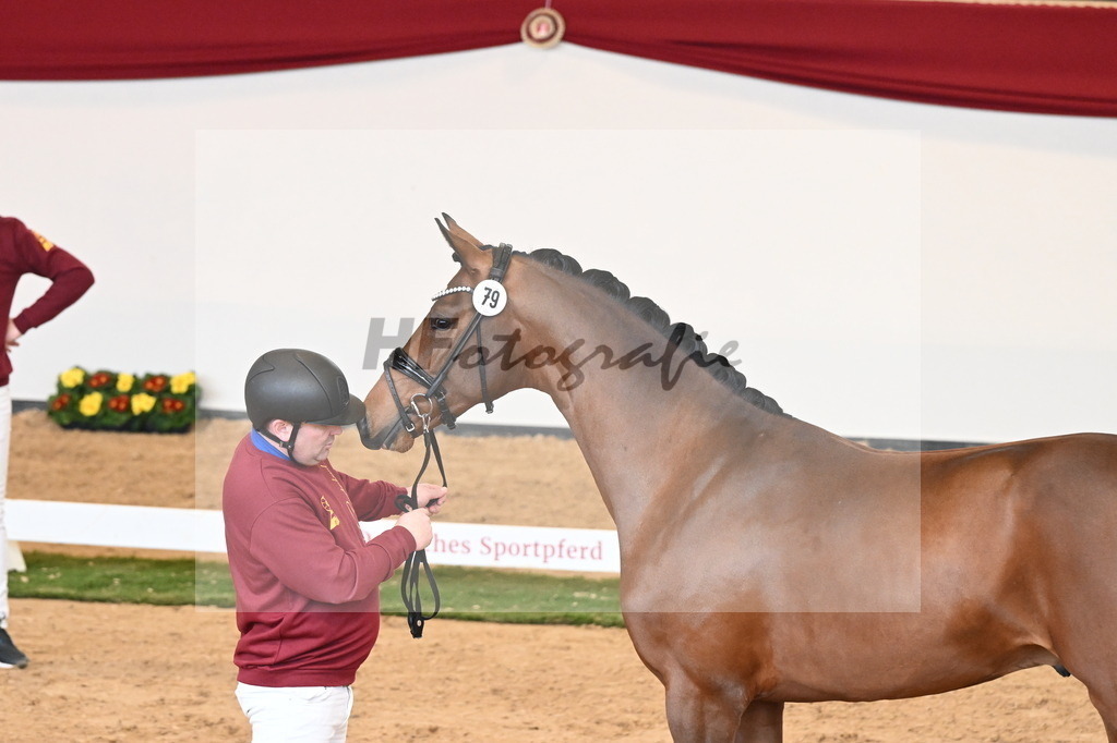 Kat.-Nr. 79 v. Valverde_Gaab_2241002 | hf-fotografie - Realisiert mit Pictrs.com