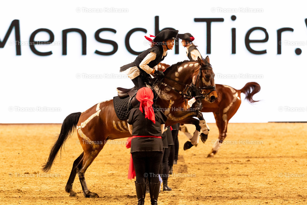 TH_Show Cup_26868 | EQUITANA 2025 am 08.03.25 in Essen