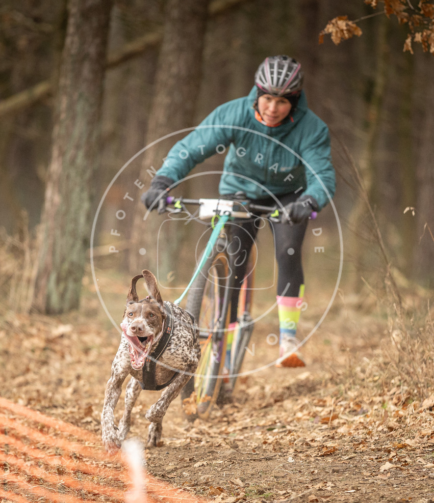 Pfotenfotografie_DV3A3916 | Hundefotografie, Tierfotograf, Pfotenfotografie, Fotoshooting Hund, Hunde Portrait, Hundesport, Hundeportraits, Heideshooting, Hunde, Sportfotograf, Hundefotograf, Turnierhundsport, THS,  - Realisiert mit Pictrs.com