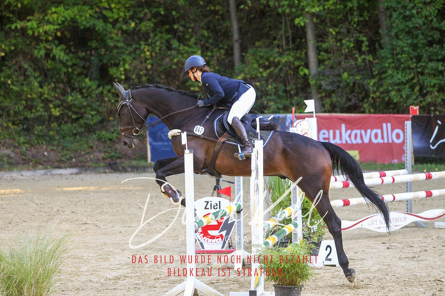 DKP42770 | Deine Turnierfotos vom Reitturnier online kaufen: Dressur, Springen & Siegerehrung. Professionelle Pferdefotografie aus dem Rheinland – als Download & Print.Alternative: Turnierfotograf für den Pferdesport: Finde deine Fotos von Dressur- und Springturnier