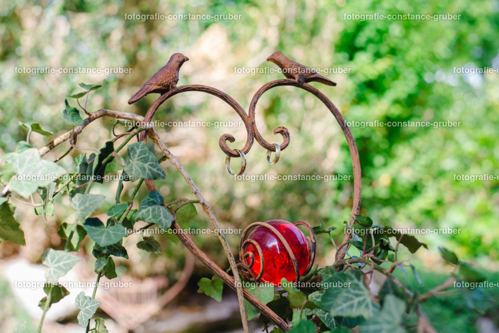 1017 | Fotografie Constance Gruber - Realisiert mit Pictrs.com