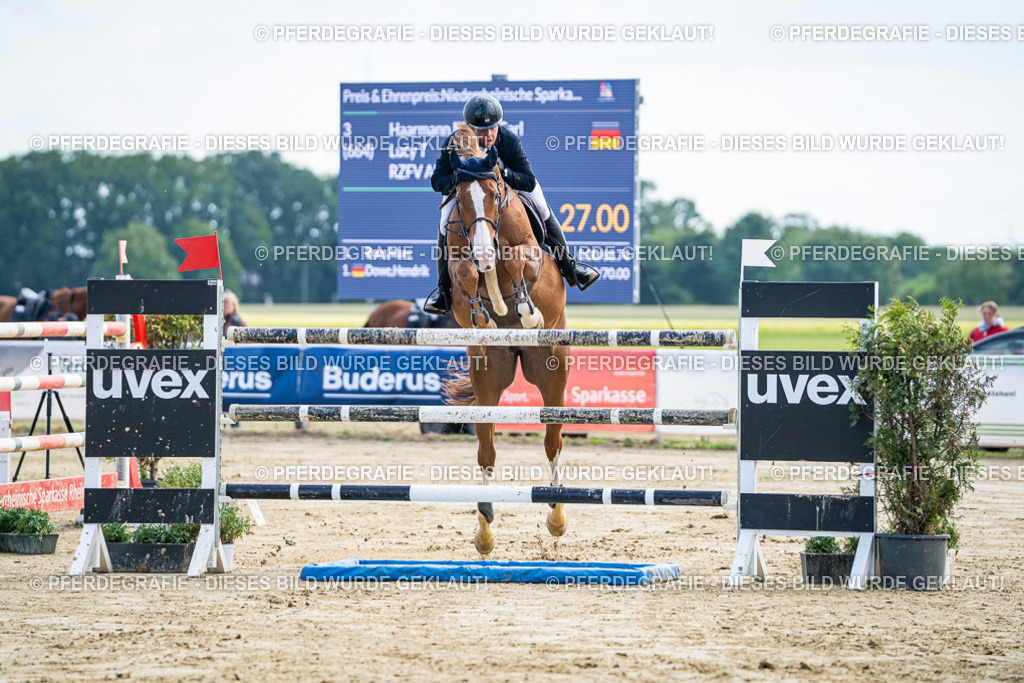 DSC06662 | Pferdegrafie