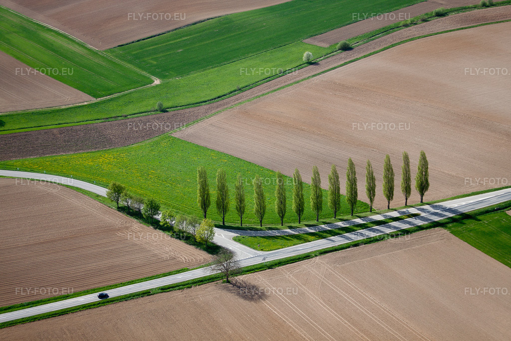 Vue aérienne: Une rangée d'arbres bordant une route de campagne en bordure d'un champ à Seebach à le quartier Altenstadt in Wissembourg dans le département Bas Rhin, France. Photo: IMG_39450.jpg prise le 10/04/2011 par Werner Riehm/FLY-FOTO.eu – Résolution de l'original: 4752 x 3168 px