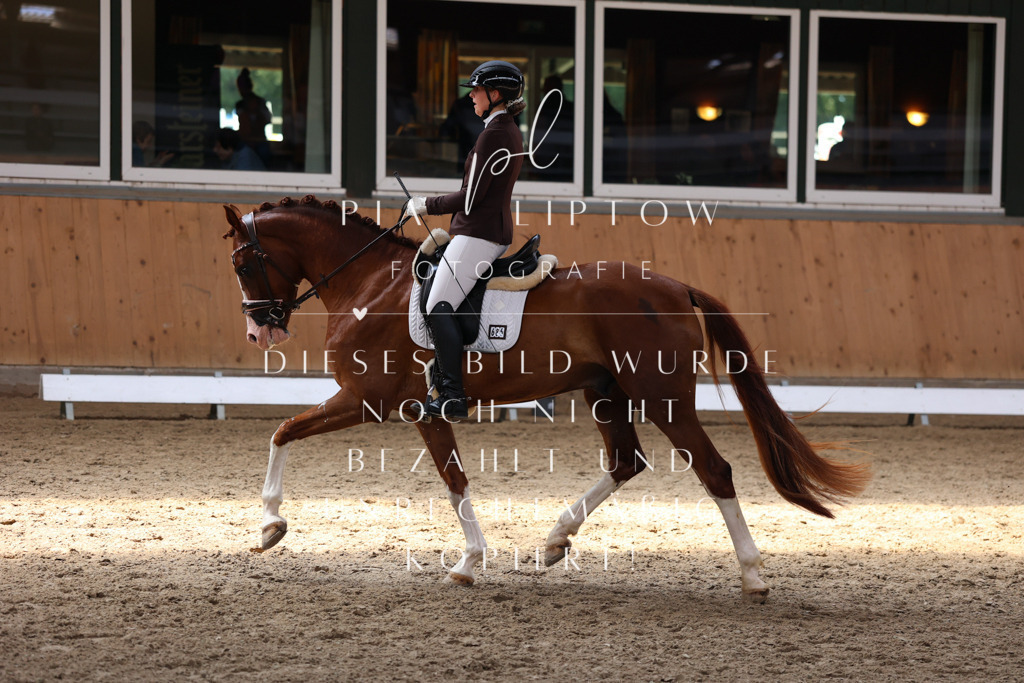 IMGM8592 | pl-fotografie