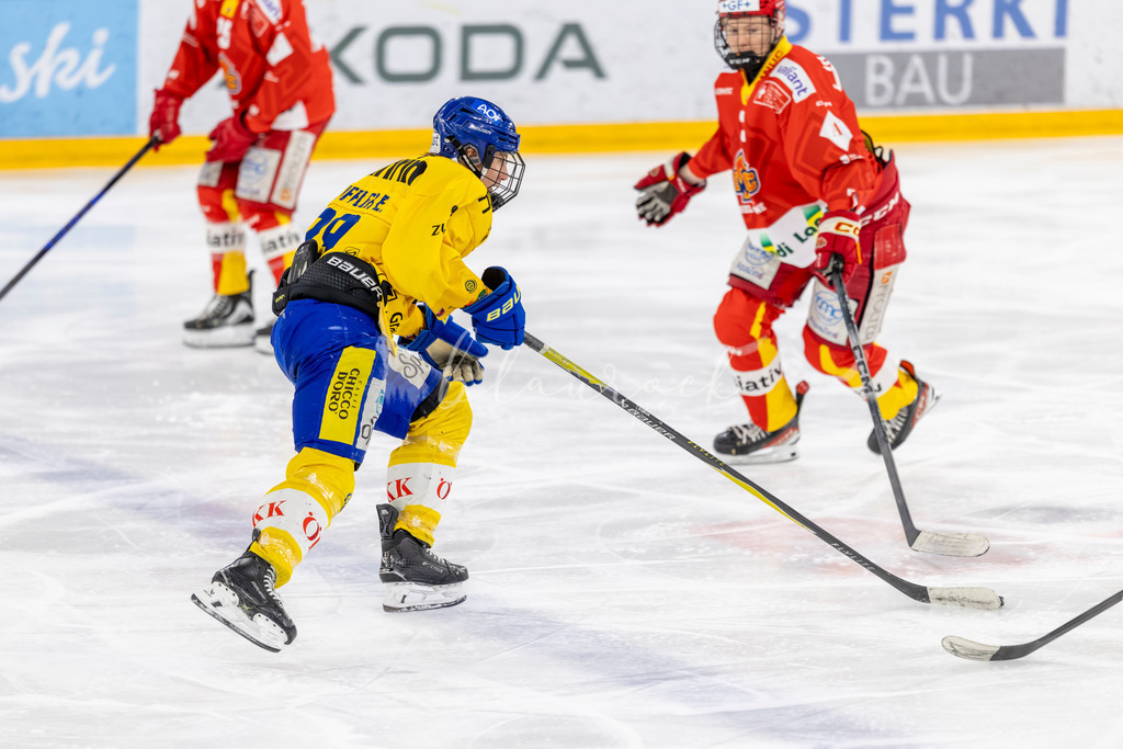 EHCB vs HCD 20262703-433063936 | Sportbilder, Sportfotograf, Hochzeits- und Eventfotografin, Flugshows, Portraits und Tiershooting, Aviation, Downhill, Nationalleague, Swissleague, International