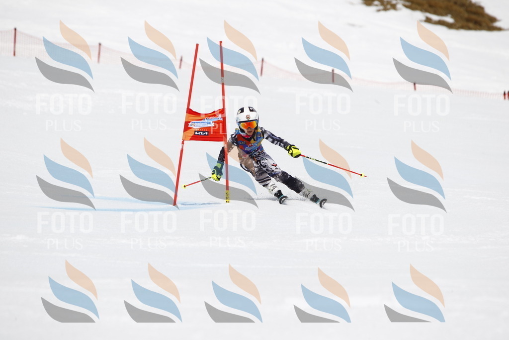 _U3G7305 | holidayphoto