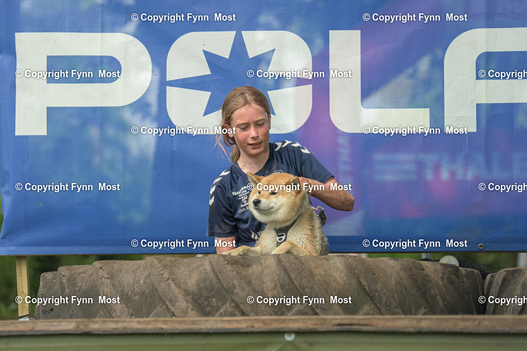 DSC_0530 | Hallo und herzlich Willkommen auf meiner Shop-Seite Fynn Most.

Ich wünsche Dir viel Spaß beim stöbern durch die Bilder, wenn Du Fragen hast oder Bilder vermisst, kannst du mir gerne eine Nachricht schreiben. - Realisiert mit Pictrs.com