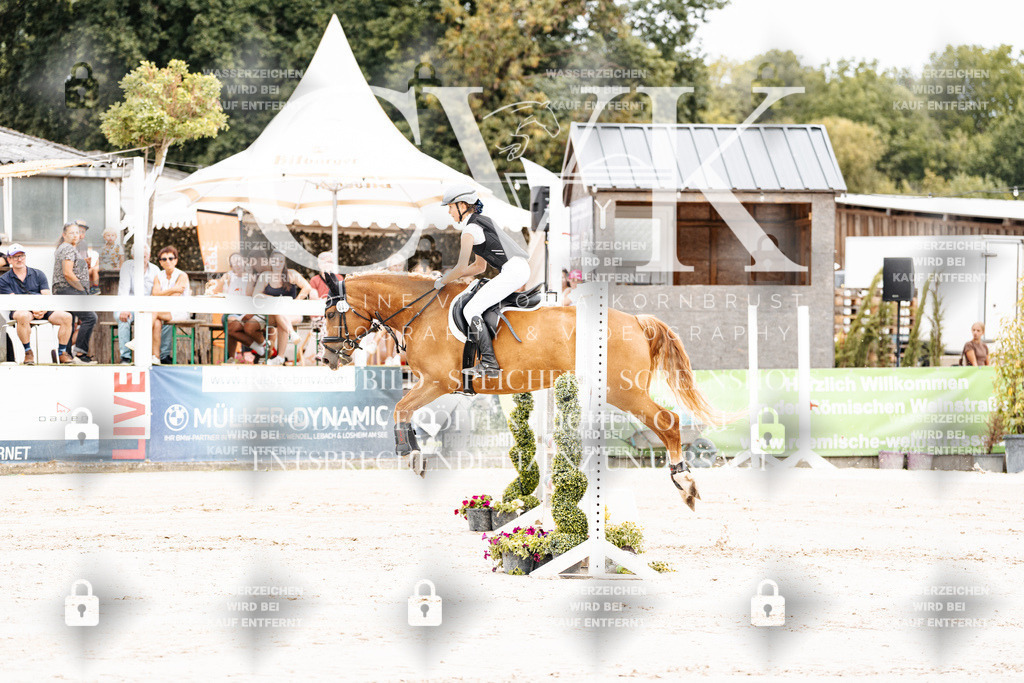 CK907827 | Turnierfotografie Pferdefotografie Trier Rheinland-Pfalz Pferdesport Reitsport Tierfotografie Sportfotografie Pferdevideo Pferdevideografie Equestrianvideography equestrianphotography  - Realisiert mit Pictrs.com