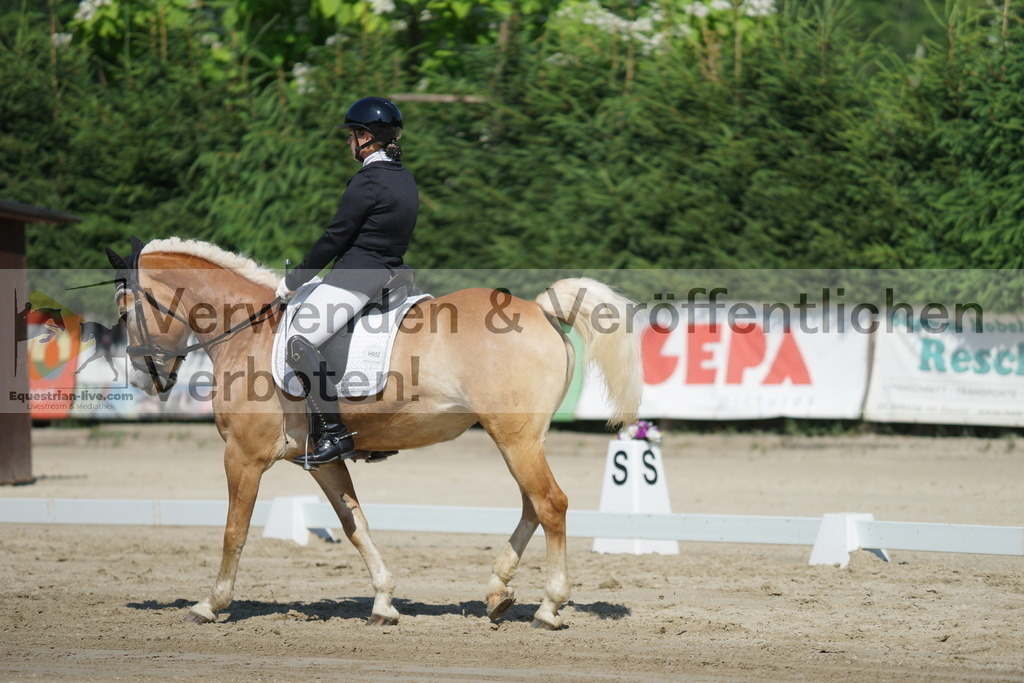 DSC03015 | equestrian-live-com