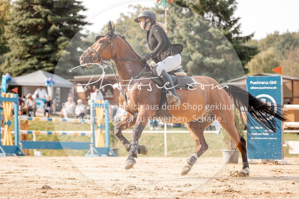 3I6A4778 | Stimmungsvolle Portraits und Reitsportfotografie im Ruhrgebiet und im Münsterland.

Pferdefotografie, Hundefotografie, Tierfotografie, Reportagen, Portraits von Tier und Mensch, Turnierfotografie in Bochum, Recklinghausen, Marl, Haltern am See, Dülmen.. - Realisiert mit Pictrs.com