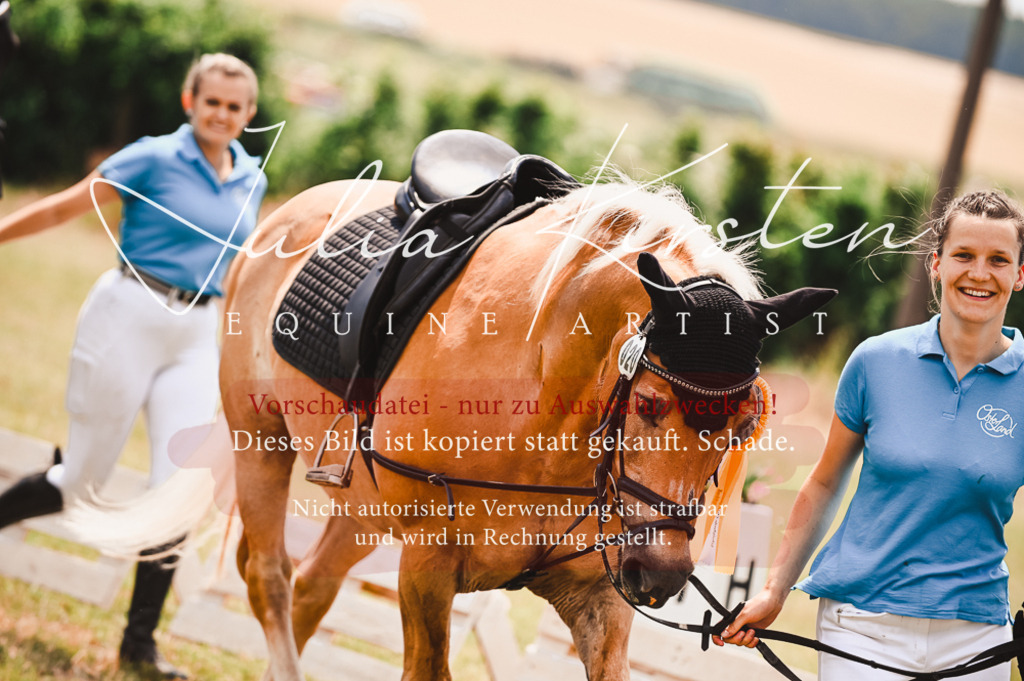 DSC_6439 | Pferde- und Turnierfotografie in Westsachsen. Pferdeportraits, Auftragszeichnungen und intuitive Kunst.