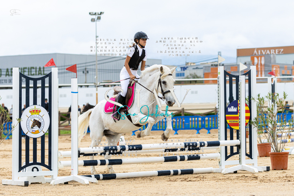 IMG_1346 | s-jay-photography - Realisiert mit Pictrs.com