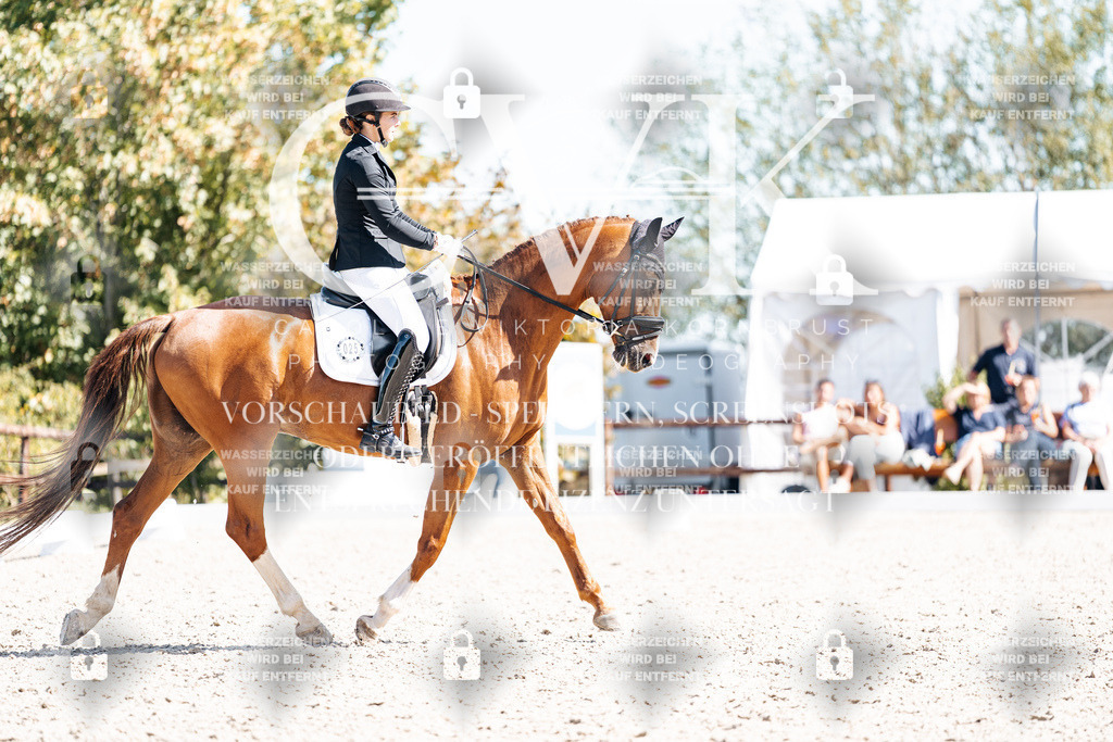 CK909536 | Turnierfotografie Pferdefotografie Trier Rheinland-Pfalz Pferdesport Reitsport Tierfotografie Sportfotografie Pferdevideo Pferdevideografie Equestrianvideography equestrianphotography  - Realisiert mit Pictrs.com