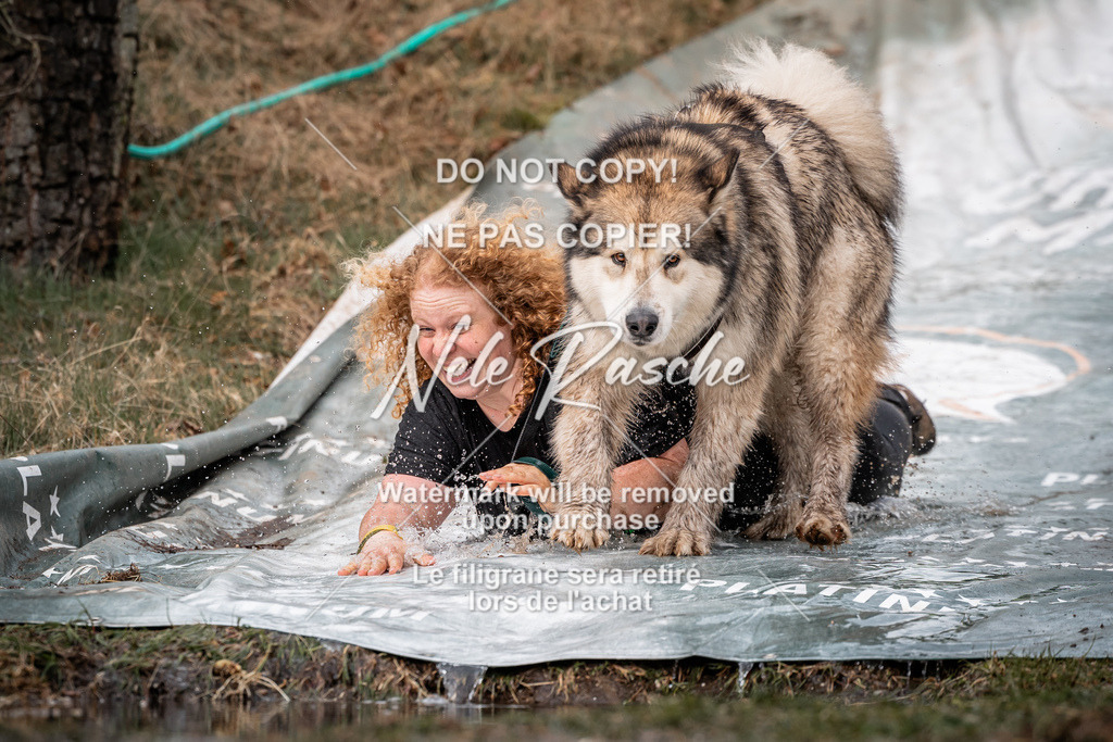 nelerasche_1330-1400_77 | nelerasche