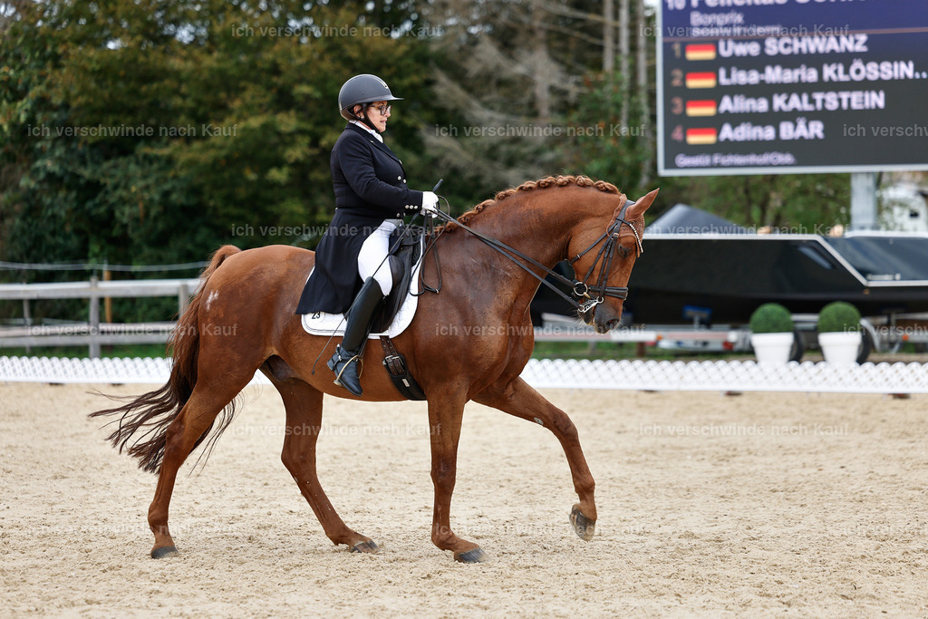 11-023-Dressur S___-StoibPH-1140 | working equitationturnier fotograf videograf stoibphotography marixx film working equitation deutschland reitsport turnierfotografie eventfotografie equestrian events