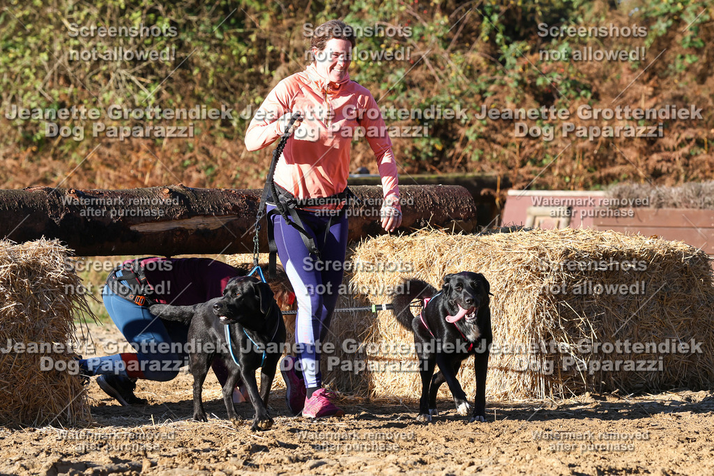 Dog Paparazzi - Strongdog 10-25-1357 | Dog Paparazzi Jeanette Grottendiek Fotografie & Videografie - Realisiert mit Pictrs.com