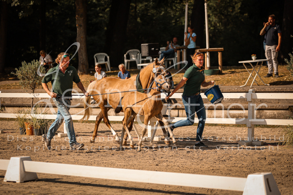 10.DoRP00240 | Leoni Ertmer Photography - Realisiert mit Pictrs.com