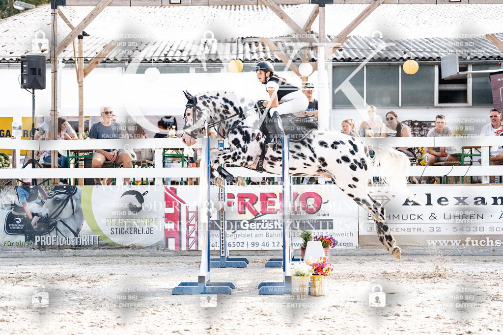 CK905973 | Turnierfotografie Pferdefotografie Trier Rheinland-Pfalz Pferdesport Reitsport Tierfotografie Sportfotografie Pferdevideo Pferdevideografie Equestrianvideography equestrianphotography  - Realisiert mit Pictrs.com