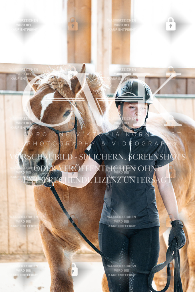 CK907283 | Turnierfotografie Pferdefotografie Trier Rheinland-Pfalz Pferdesport Reitsport Tierfotografie Sportfotografie Pferdevideo Pferdevideografie Equestrianvideography equestrianphotography  - Realisiert mit Pictrs.com