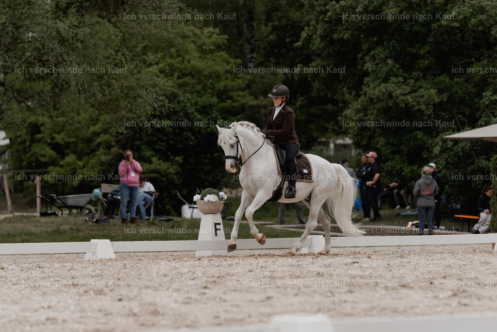 WE_DR_Stoib_318_PI2025_494 | Pferd International München 2025