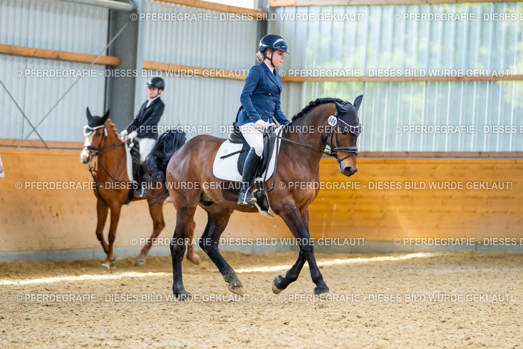 DSC09489 | Pferdegrafie