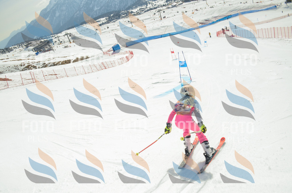 _ELE4788 | holidayphoto