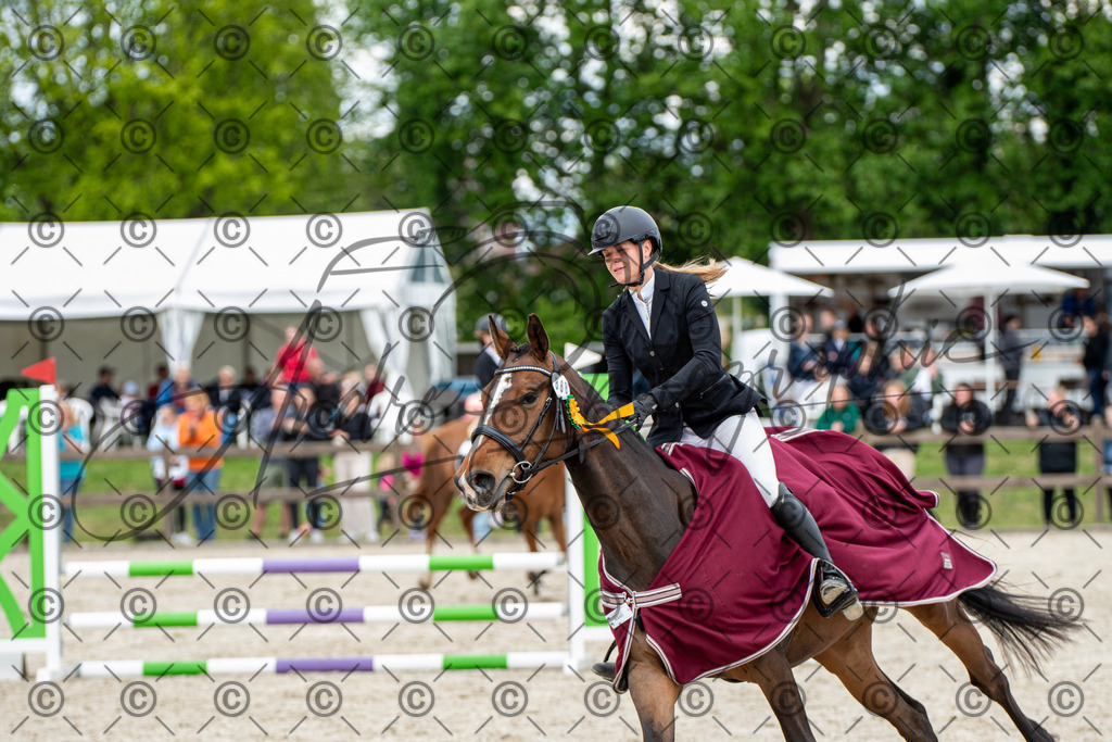 KPT_6451 | andre_photographic