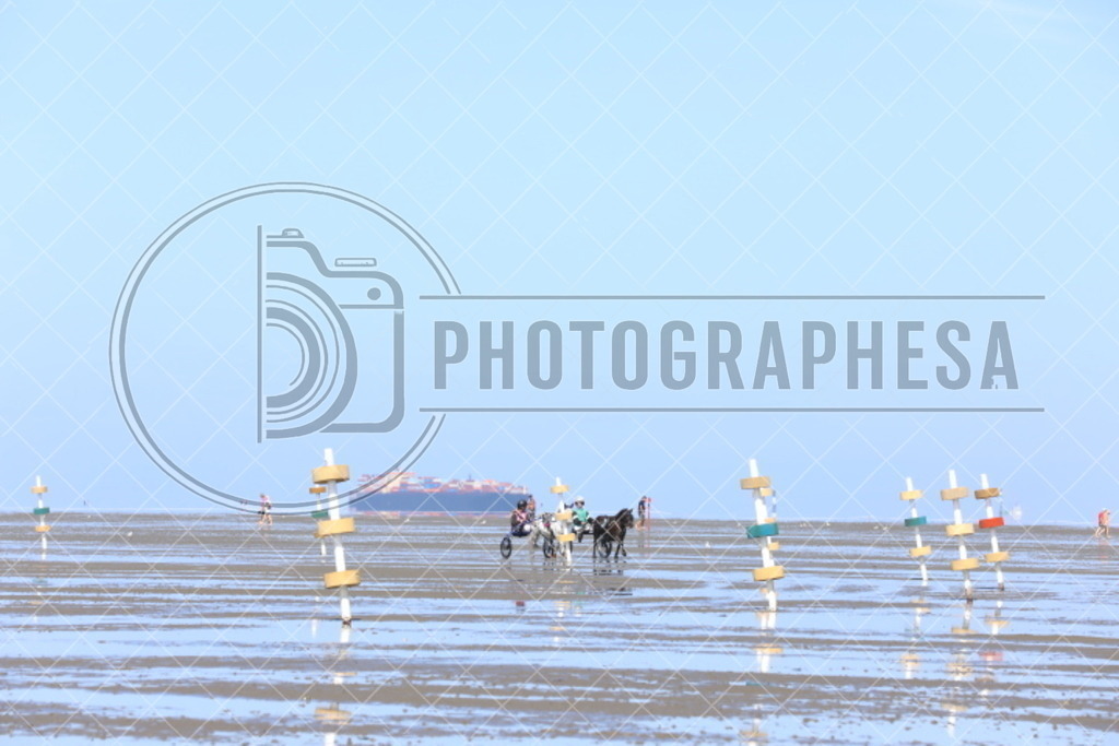 IMG_8714 | photographesa-joergens - Realisiert mit Pictrs.com