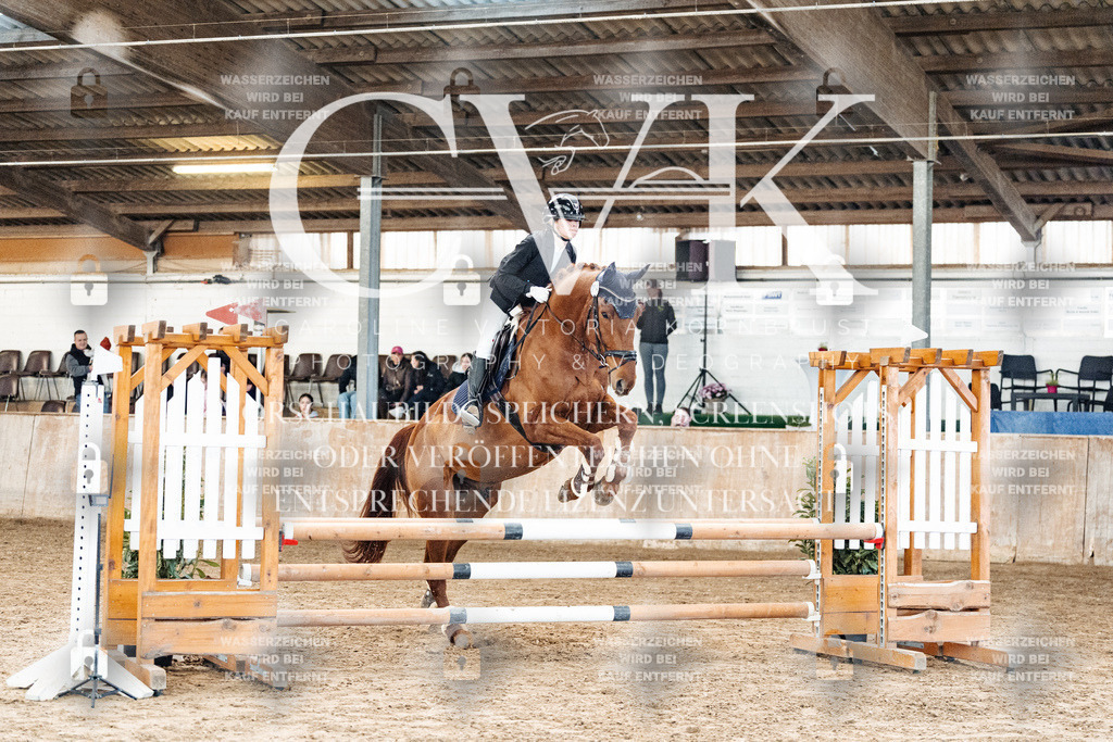 CK904081 | Turnierfotografie Pferdefotografie Trier Rheinland-Pfalz Pferdesport Reitsport Tierfotografie Sportfotografie Pferdevideo Pferdevideografie Equestrianvideography equestrianphotography  - Realized with Pictrs.com