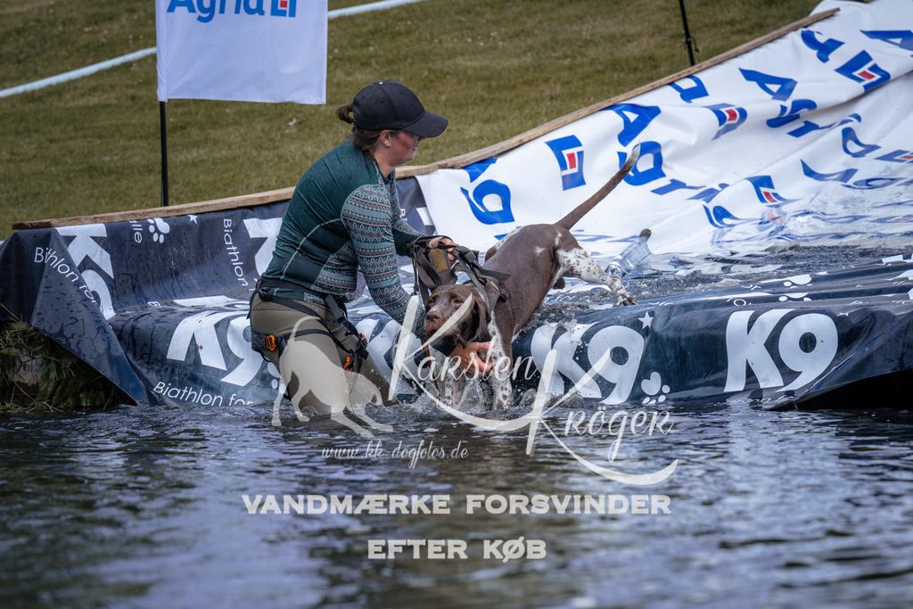 _ZZ908920910 | kk-dogfotos