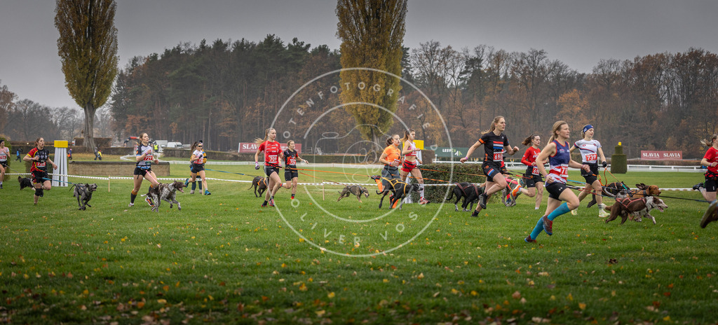 CaniXpix_DV3A8810 | Hundefotografie, Tierfotograf, Pfotenfotografie, Fotoshooting Hund, Hunde Portrait, Hundesport, Hundeportraits, Heideshooting, Hunde, Sportfotograf, Hundefotograf, Turnierhundsport, THS,  - Realisiert mit Pictrs.com
