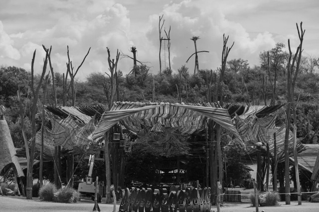 _DSF0039-OzoraPt8 | blende43