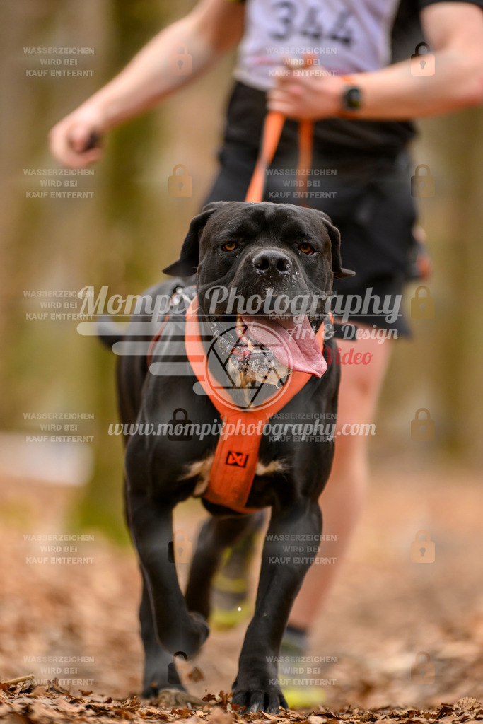 MompixPhotography_Habay2025_SA_CCC-294 | PayLife