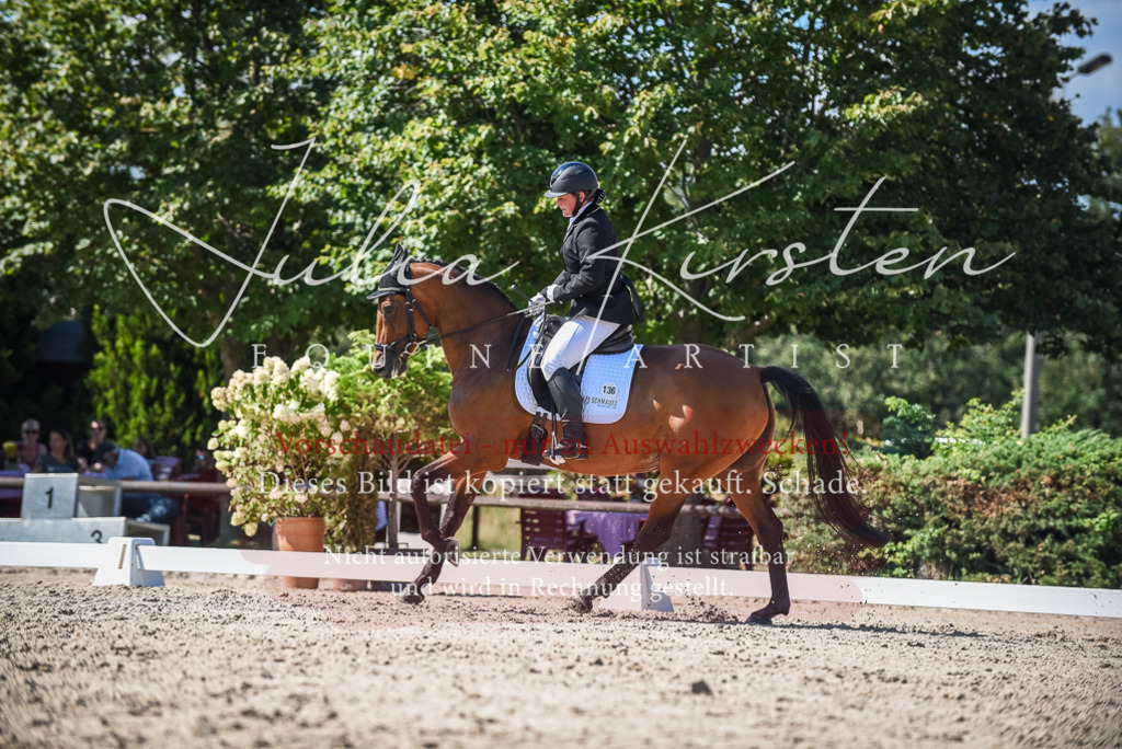 DSC_9651 | Pferde- und Turnierfotografie in Westsachsen. Pferdeportraits, Auftragszeichnungen und intuitive Kunst.