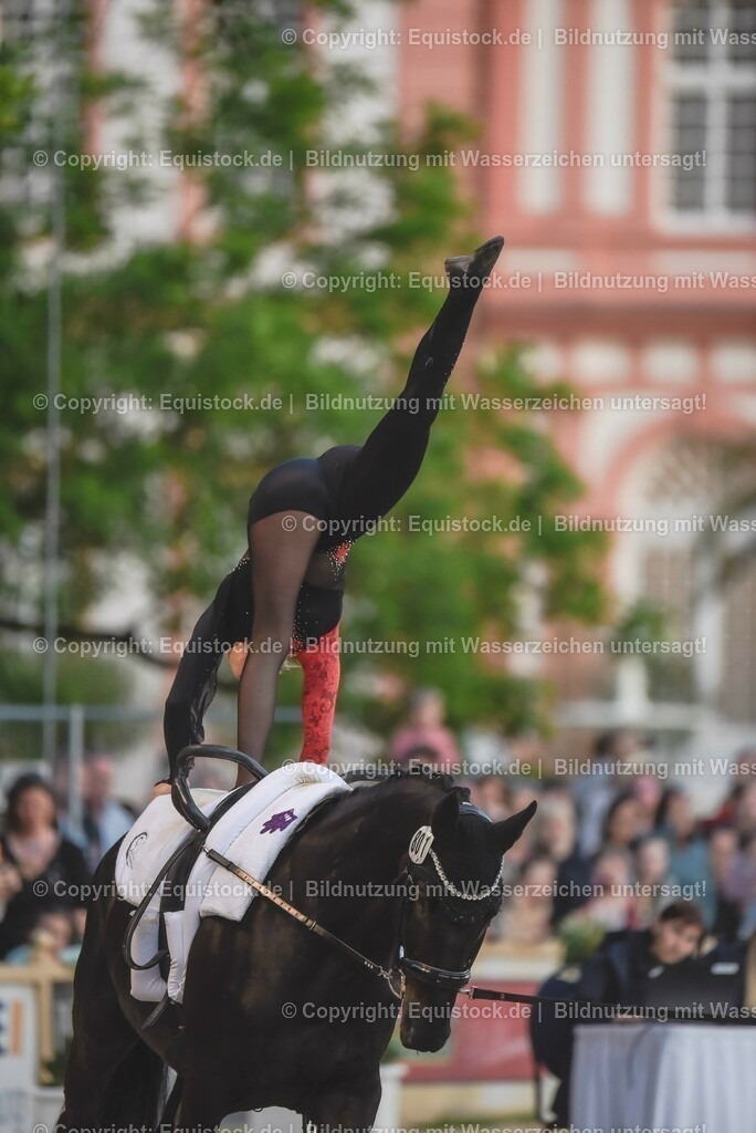 20230527_Voltigieren_NASPA_Flutlicht_0228 | equistock