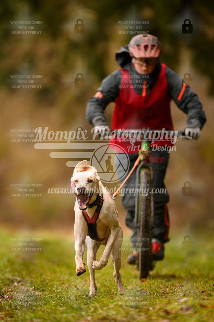 MompixPhotography_2SSTSSBW_2025_SO_Scooter-79 | PayLife