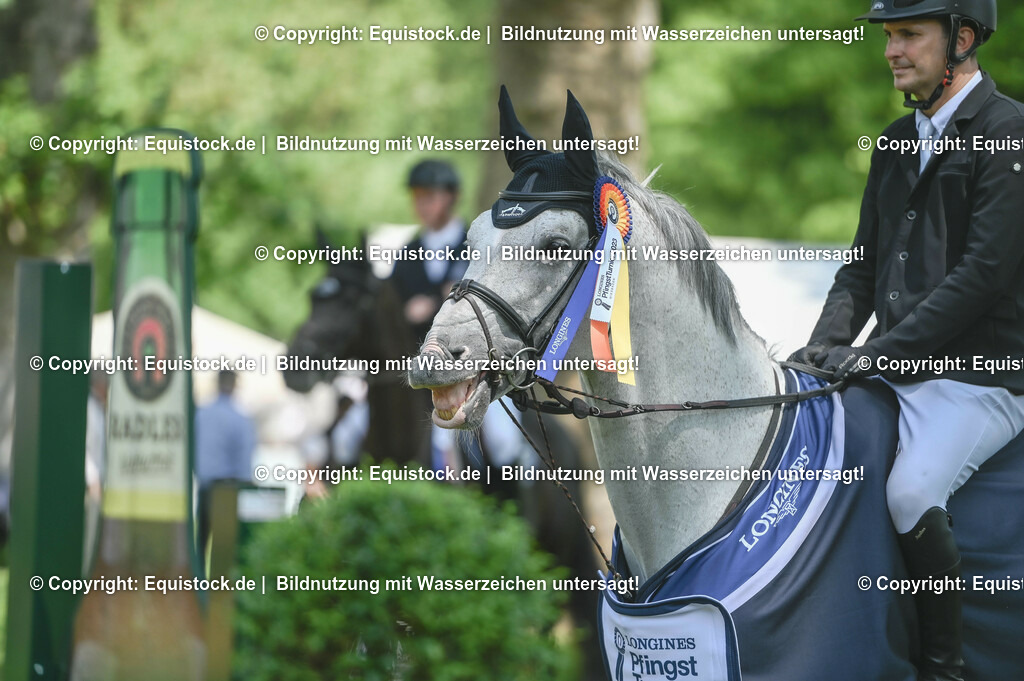 20230527_12_CSI4_Pfungstädter_0118 | equistock