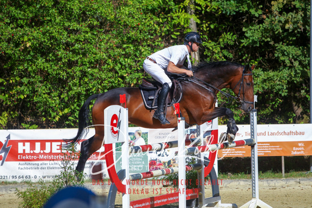 DKP43424 | Turniersportfotografie; Pferdefotografie; Dressurfotografie