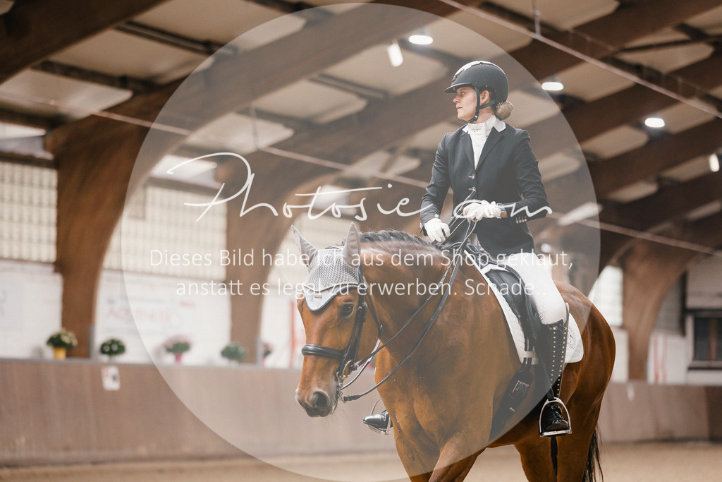 3I6A8124 | Stimmungsvolle Portraits und Reitsportfotografie im Ruhrgebiet und im Münsterland.

Pferdefotografie, Hundefotografie, Tierfotografie, Reportagen, Portraits von Tier und Mensch, Turnierfotografie in Bochum, Recklinghausen, Marl, Haltern am See, Dülmen.. - Realisiert mit Pictrs.com