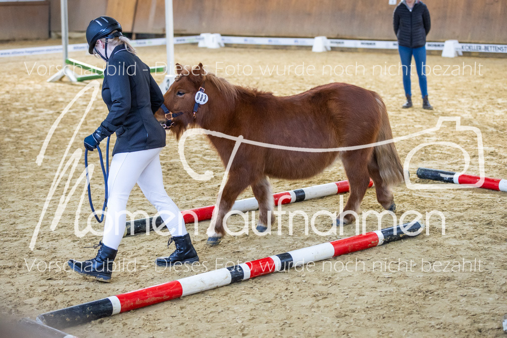 Sth-WBO25-Führ-WB-062 | MomenTaufnahmen Pferdesportfotos