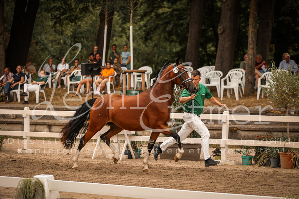 12.So00054 | Leoni Ertmer Photography - Realisiert mit Pictrs.com