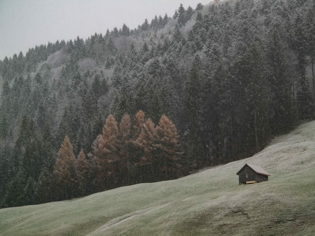 PSX_20221205_225323 | mtkfoto_ - Realisiert mit Pictrs.com