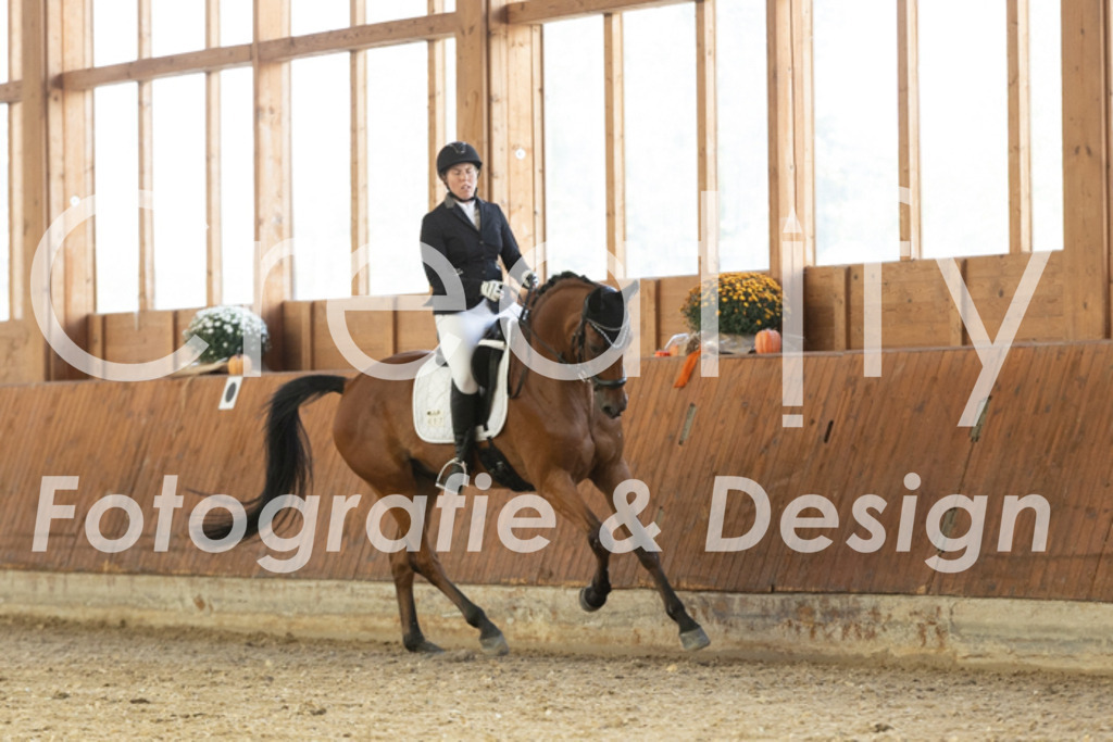 IMG_1753 | Creatify Fotografie